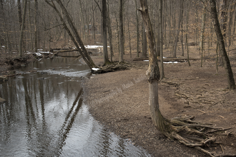 A stream in the early Spring