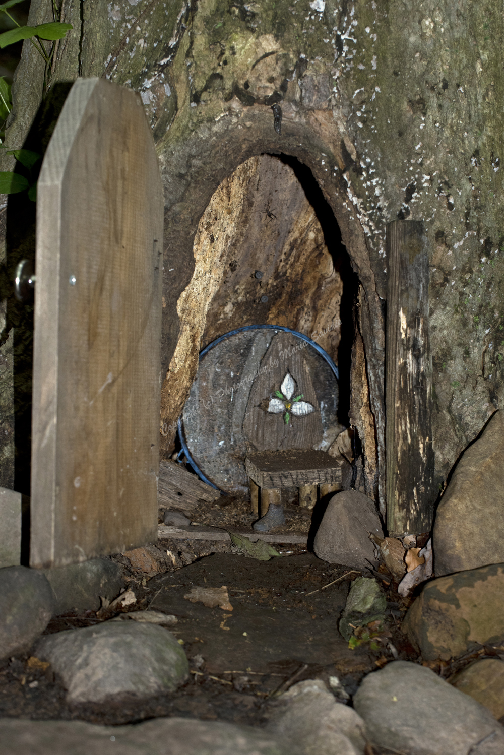 Fairy Trail, Rahway River Trail, South Mountain Reservation, Millburn, NJ