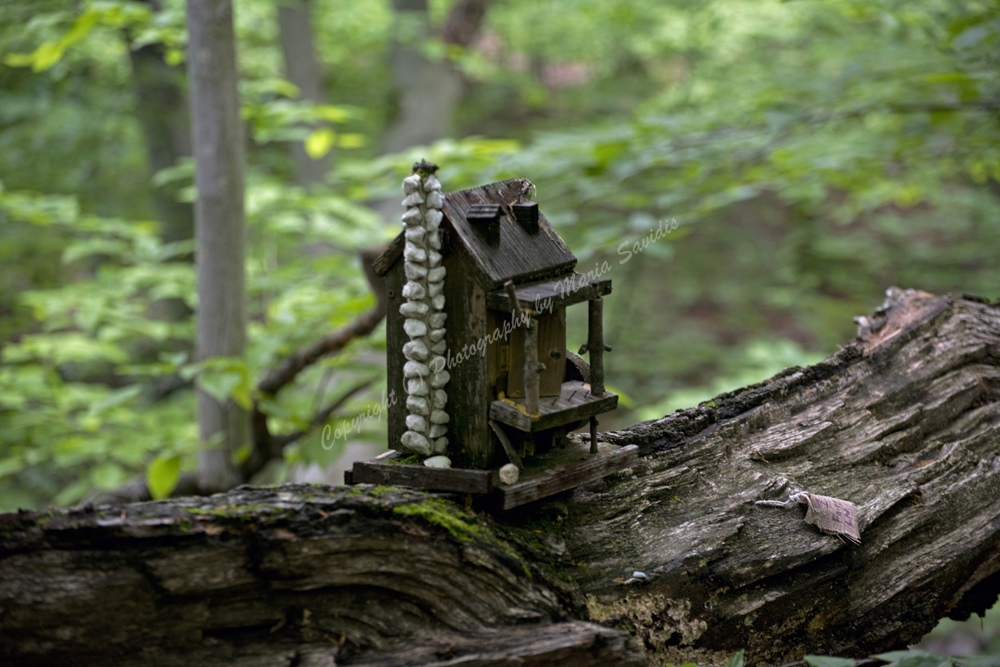 Fairy Trail, Rahway River Trail, South Mountain Reservation, Millburn, NJ