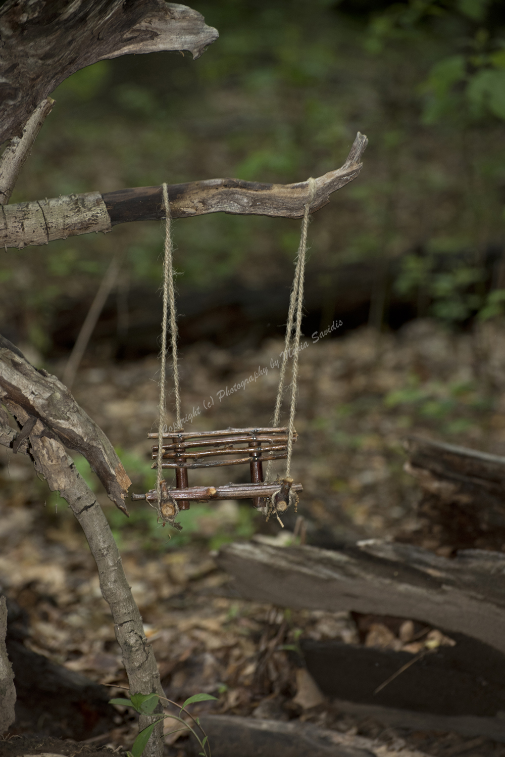 Fairy Trail, Rahway River Trail, South Mountain Reservation, Millburn, NJ