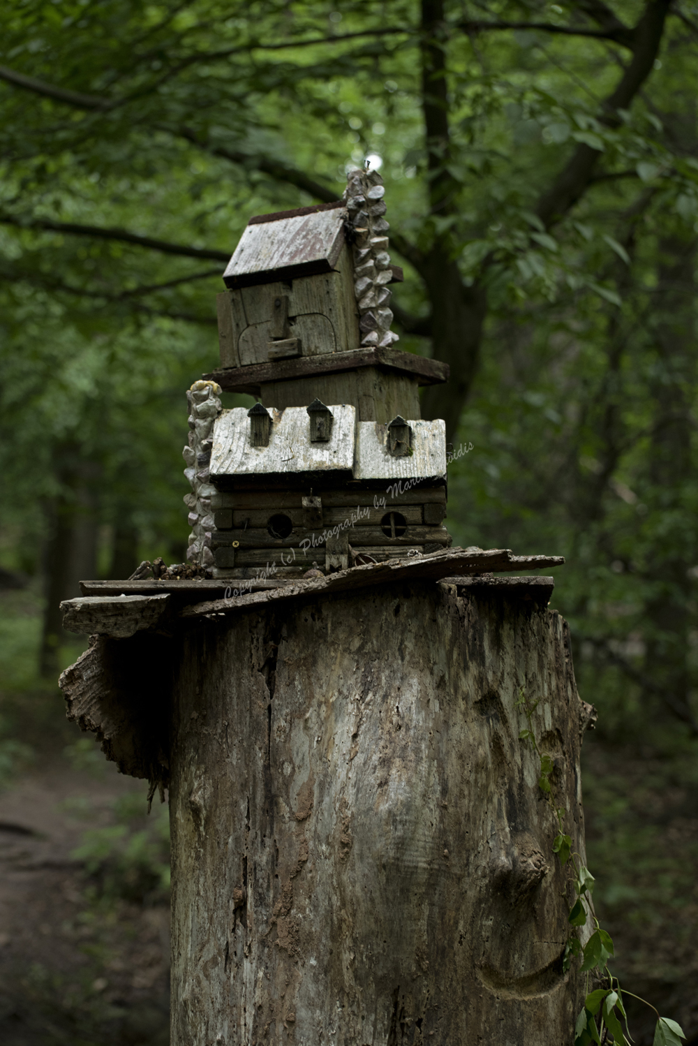 Fairy Trail, Rahway River Trail, South Mountain Reservation, Millburn, NJ