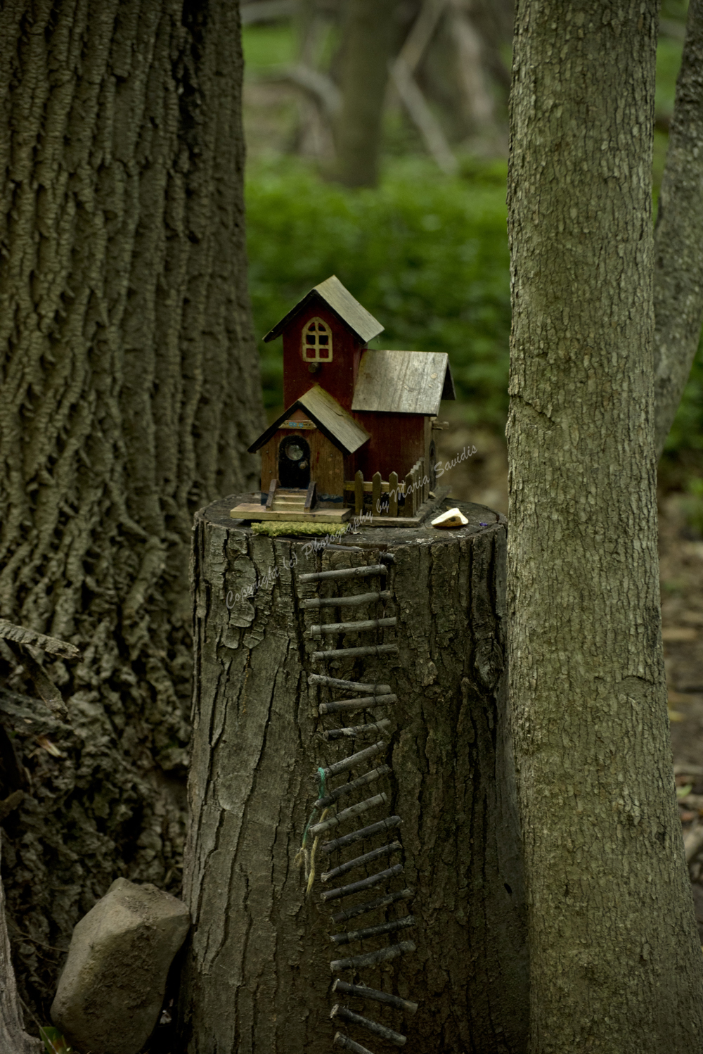 Fairy Trail, Rahway River Trail, South Mountain Reservation, Millburn, NJ