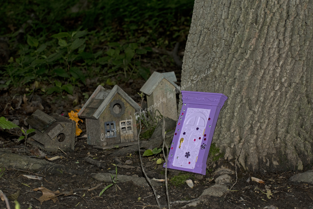 Fairy Trail, Rahway River Trail, South Mountain Reservation, Millburn, NJ