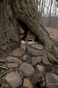 Fairy Trail section of the Rahway Trail, White Blazes, South Mountain Reservation, Millburn, NJ March 2017-8ds-1339