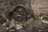 Fairy Trail section of the Rahway Trail, White Blazes, South Mountain Reservation, Millburn, NJ March 2017-8ds-1343