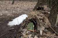 Fairy Trail section of the Rahway Trail, White Blazes, South Mountain Reservation, Millburn, NJ March 2017-8ds-1344