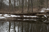 South Mountain Reservation,  Rahway Trail, Millburn, March 25, 2017.. SPRING, snow is melting..2017-8ds-1354