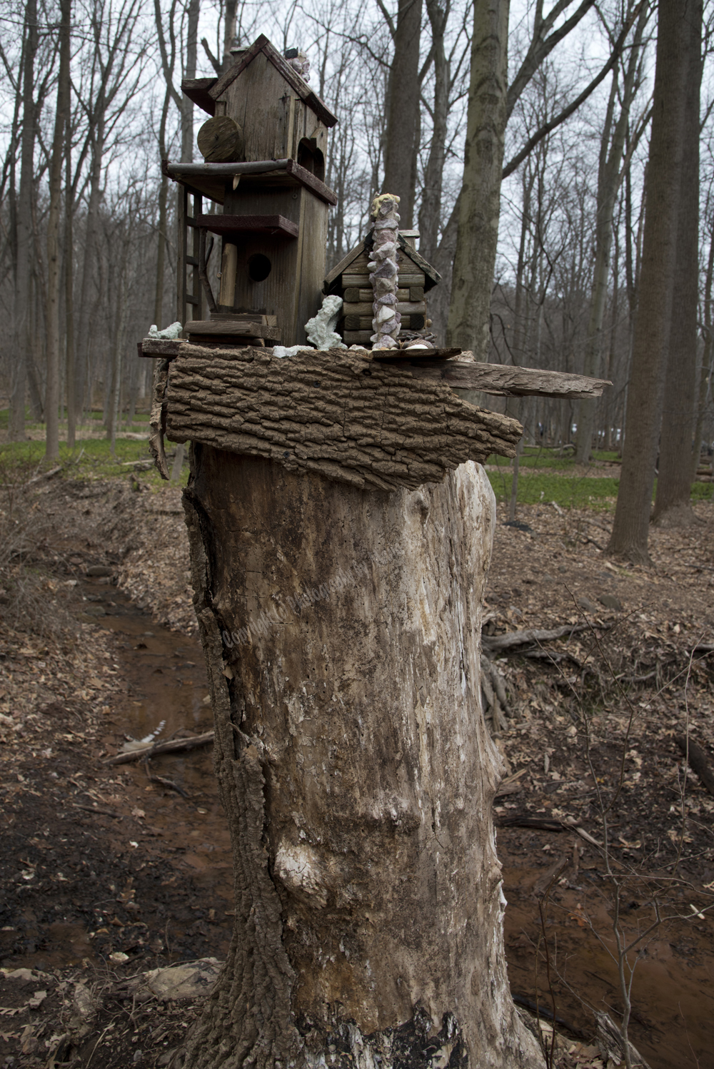 Fairy Trail, Rahway River Trail, South Mountain Reservation, Millburn, NJ