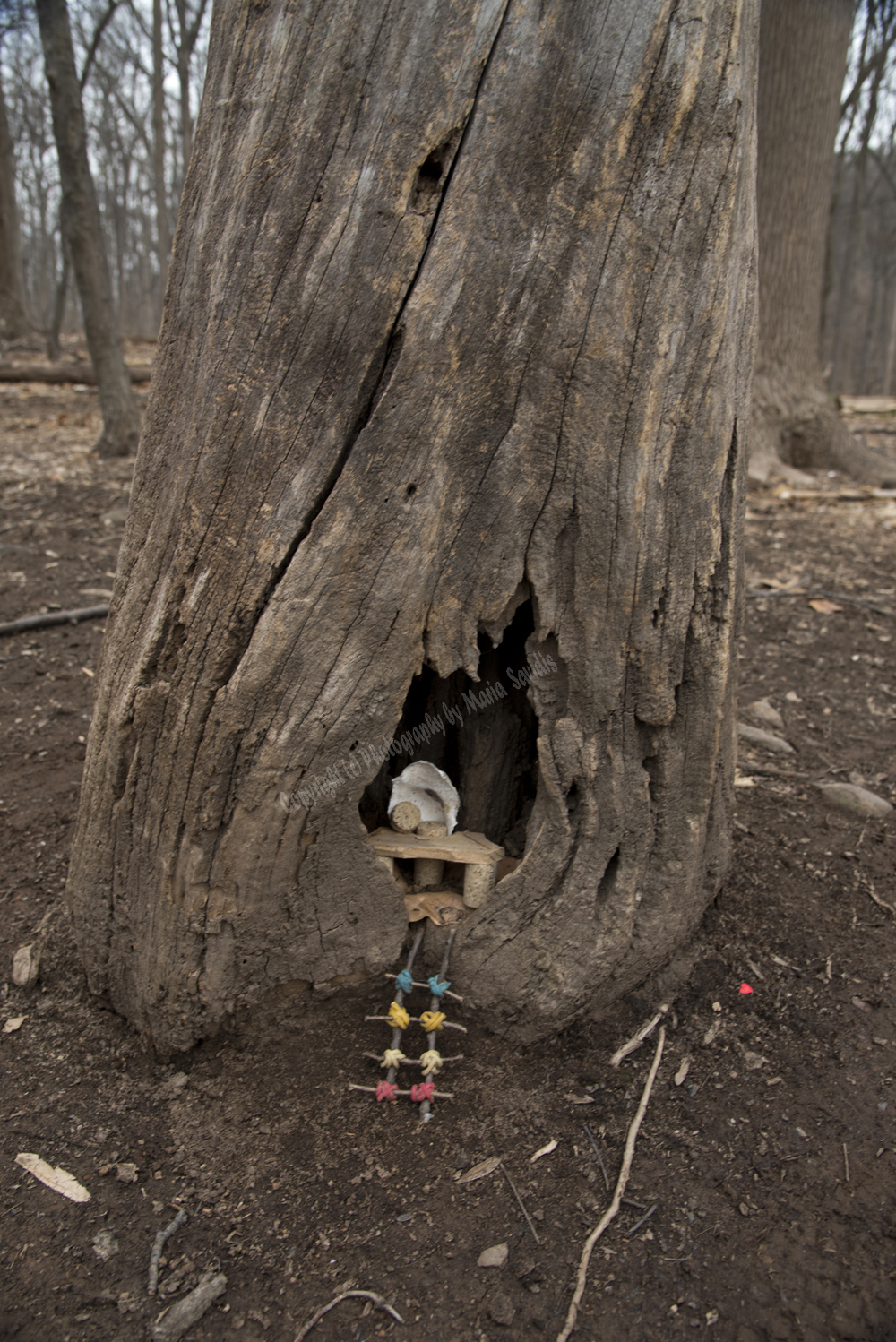 Fairy Trail, Rahway River Trail, South Mountain Reservation, Millburn, NJ