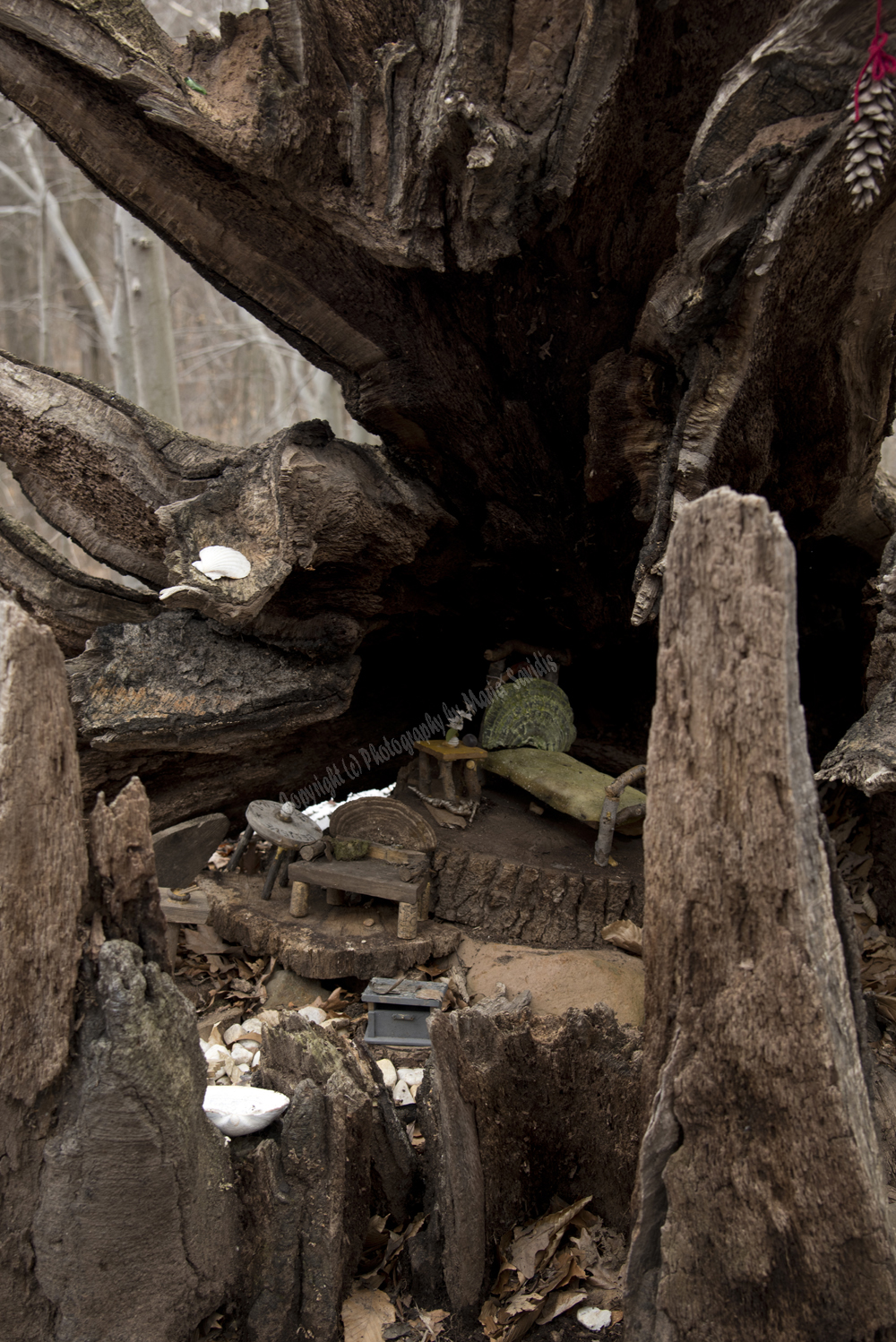 Fairy Trail, Rahway River Trail, South Mountain Reservation, Millburn, NJ