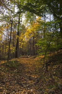 South Mountain Reservation, Essex County, NJ 2016-70d6735