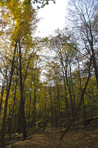 South Mountain Reservation, Essex County, NJ 2016-70d6736