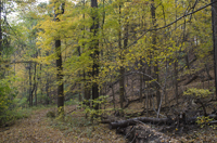 South Mountain Reservation, Essex County, NJ 2016-70d6738