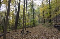 South Mountain Reservation, Essex County, NJ 2016-70d6739