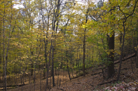 South Mountain Reservation, Essex County, NJ 2016-70d6740