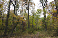 South Mountain Reservation, Essex County, NJ 2016-70d6741