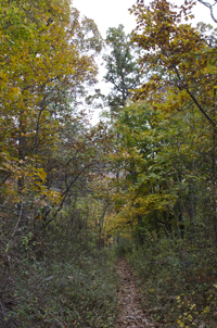 South Mountain Reservation, Essex County, NJ 2016-70d6744