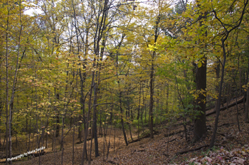 South Mountain Reservation, New Jersey, USA