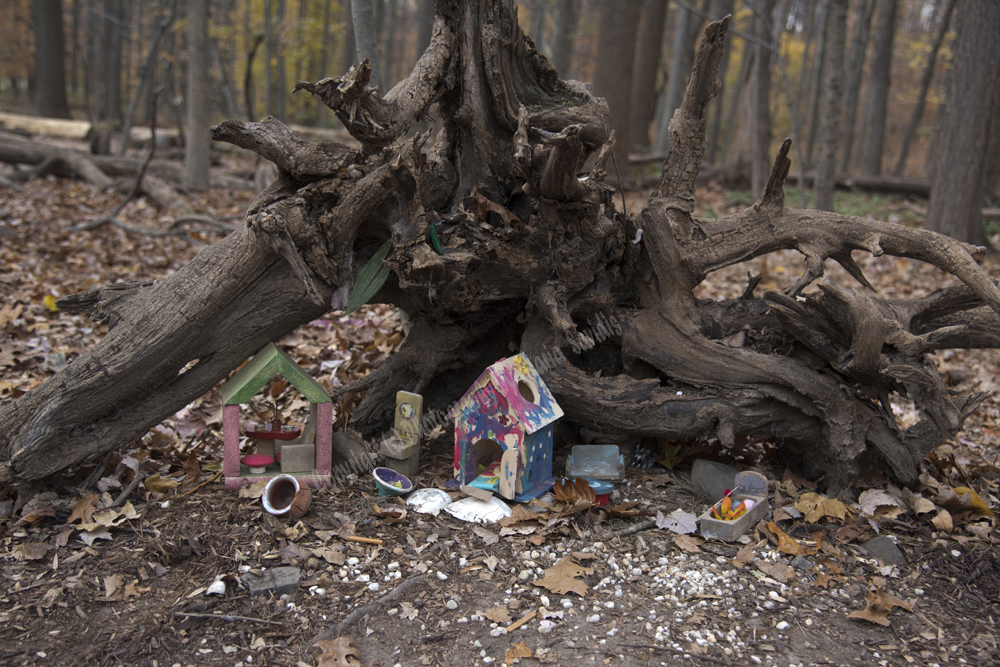 Fairy Trail, Rahway River Trail, South Mountain Reservation, Millburn, NJ