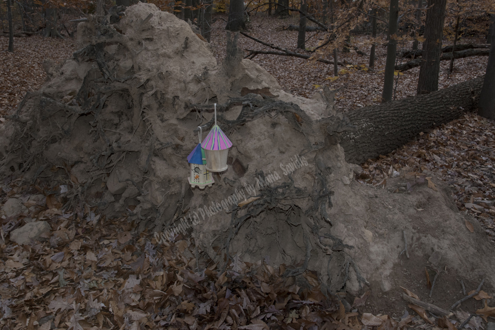 Fairy Trail, Rahway River Trail, South Mountain Reservation, Millburn, NJ