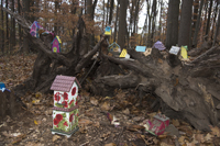 Fairy Trail section of the Rahway Trail, White Blazes, South Mountain Reservation, Millburn, NJ November 2016-8ds-0206