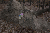 Fairy Trail section of the Rahway Trail, White Blazes, South Mountain Reservation, Millburn, NJ November 2016-8ds-0210