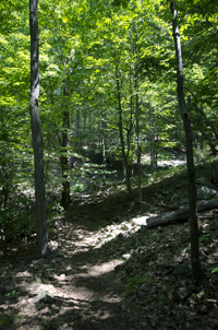 South Mountain Reservation, Essex County, NJ 2016-3437