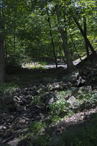 South Mountain Reservation, Essex County, NJ 2016-3438