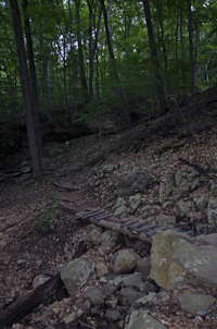 South Mountain Reservation, Essex County, NJ 2016-3443