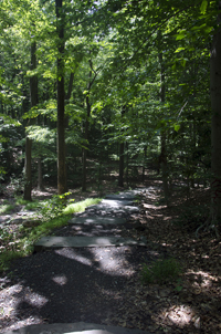 South Mountain Reservation, Essex County, NJ 2016-3457