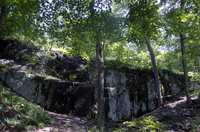 South Mountain Reservation, Essex County, NJ 2016-3460