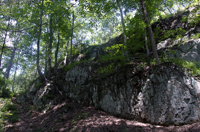 South Mountain Reservation, Essex County, NJ 2016-3461