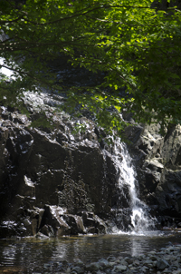 South Mountain Reservation, Essex County, NJ 2016-3465