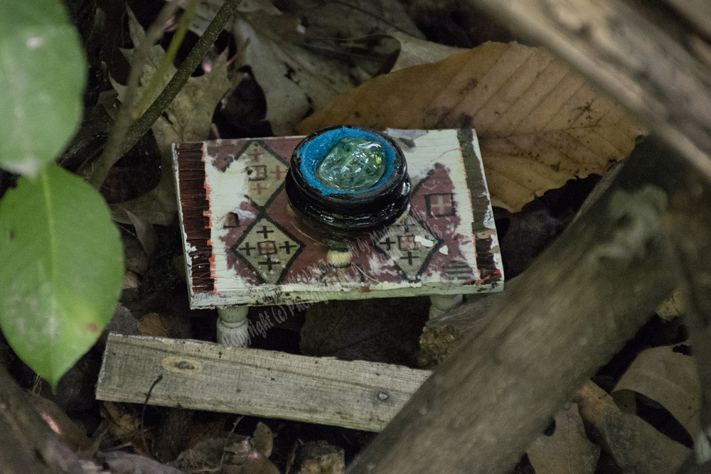 Fairy Trail, Rahway River Trail, South Mountain Reservation, Millburn, NJ