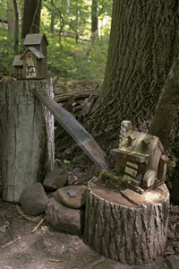 South Mountain Reservation, Fairy Trail, Millburn, NJ 2017-71d-4837