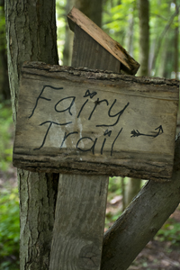 South Mountain Reservation, Fairy Trail, Millburn, NJ 2017-71d-4850