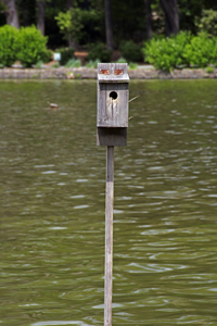 South Mountain Reservation 2017-71d-4868 Birdhouse