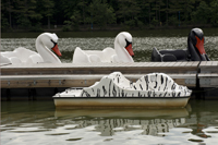 South Mountain Reservation, Essex County 2017-71d-4871 Swan boats