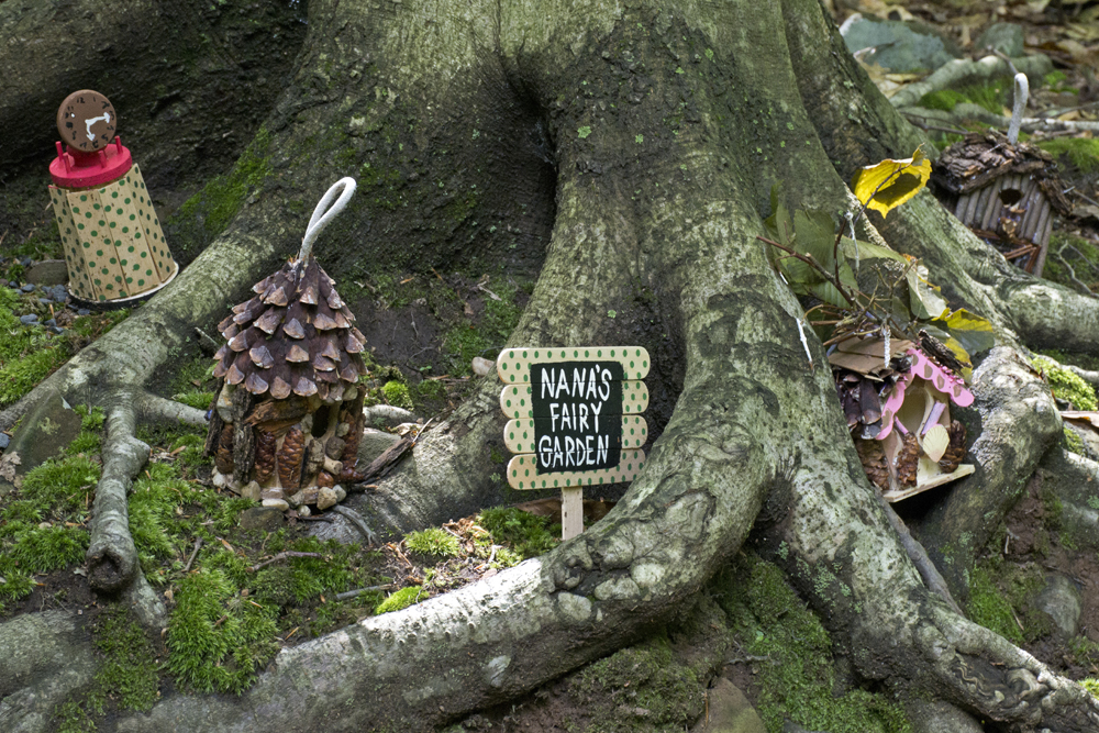 Fairy Trail, Rahway River Trail, South Mountain Reservation, Millburn, NJ