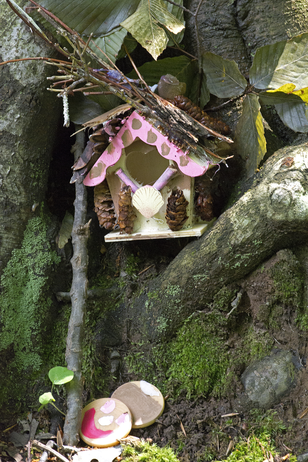 Fairy Trail, Rahway River Trail, South Mountain Reservation, Millburn, NJ