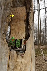 South Mountain Reservation, Fairy Trail, Millburn, NJ 2019-70d-3416