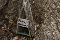 South Mountain Reservation, Fairy Trail, Millburn, NJ 2019-70d-3418