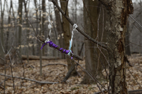 South Mountain Reservation, Fairy Trail, Millburn, NJ 2019-70d-3433