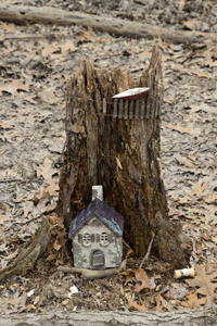 South Mountain Reservation, Fairy Trail, Millburn, NJ 2019-70d-3505