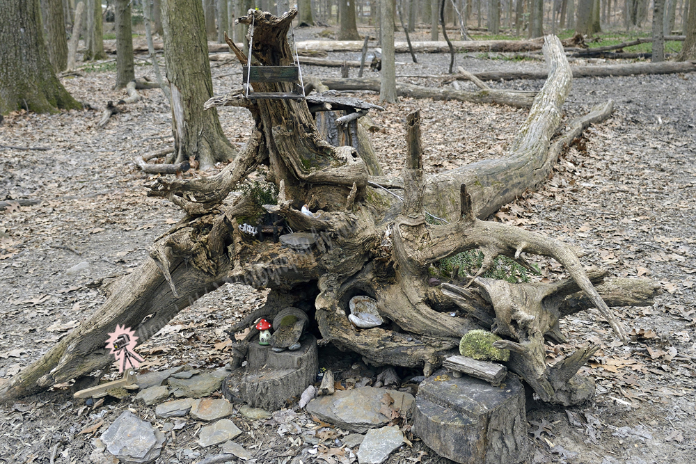 Fairy Trail, Rahway River Trail, South Mountain Reservation, Millburn, NJ