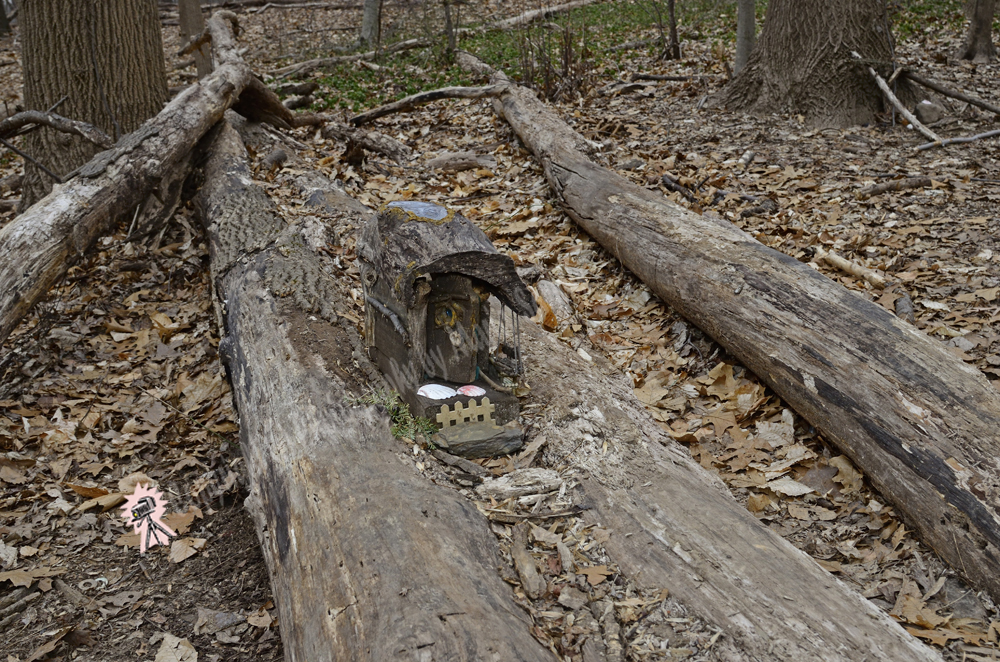 Fairy Trail, Rahway River Trail, South Mountain Reservation, Millburn, NJ