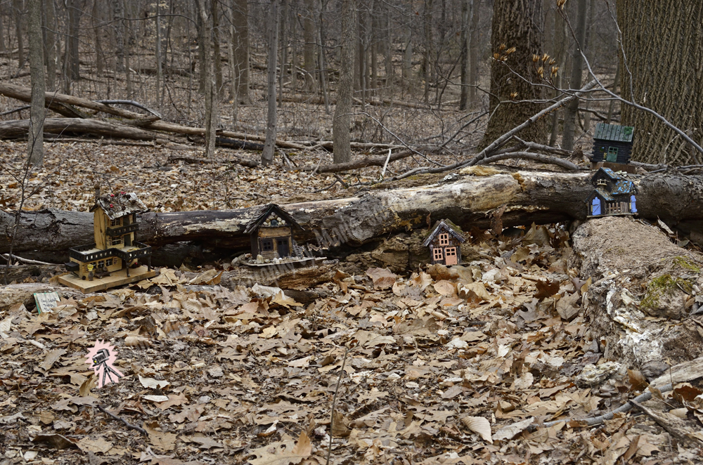 Fairy Trail, Rahway River Trail, South Mountain Reservation, Millburn, NJ