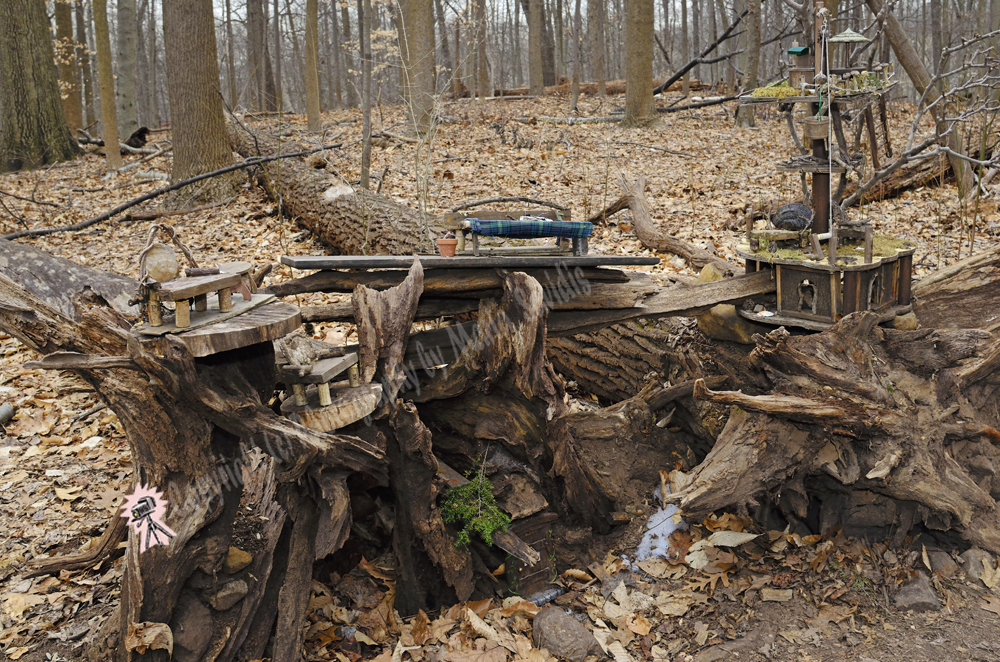 Fairy Trail, Rahway River Trail, South Mountain Reservation, Millburn, NJ