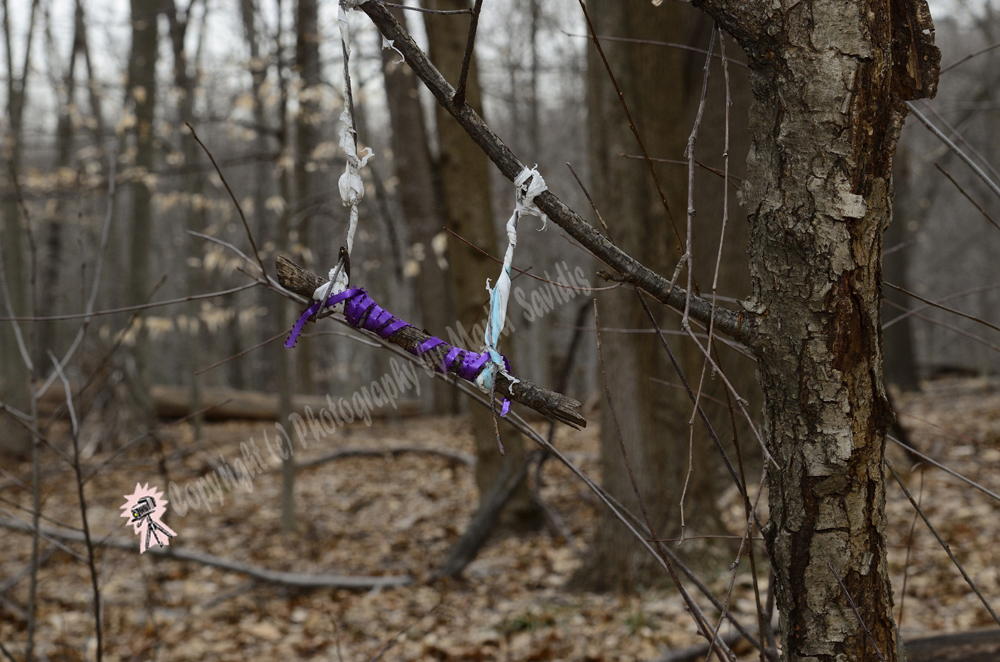 Fairy Trail, Rahway River Trail, South Mountain Reservation, Millburn, NJ