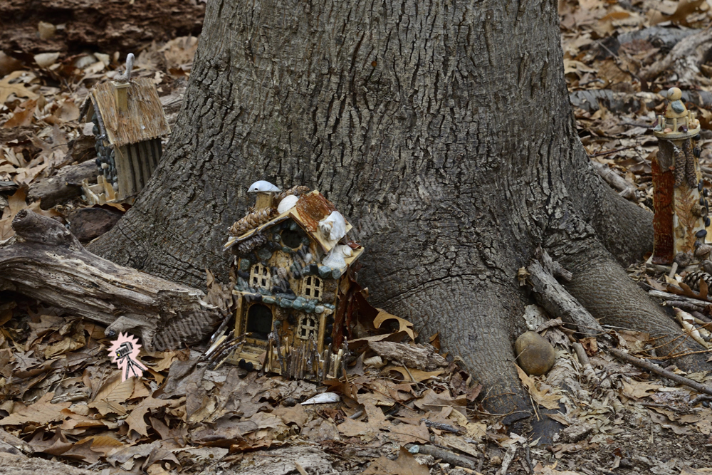 Fairy Trail, Rahway River Trail, South Mountain Reservation, Millburn, NJ